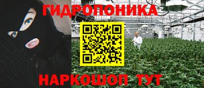 индика Балахна