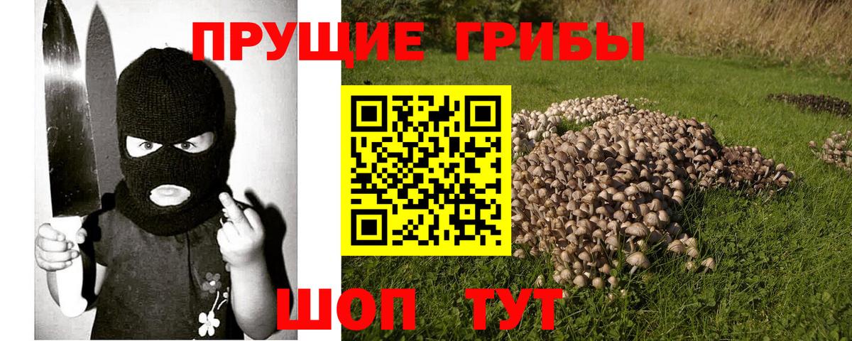 Дивногорск  Псилоцибиновые грибы мицелий  Вход с VPN  Псилоцибиновые грибы прущие грибы 